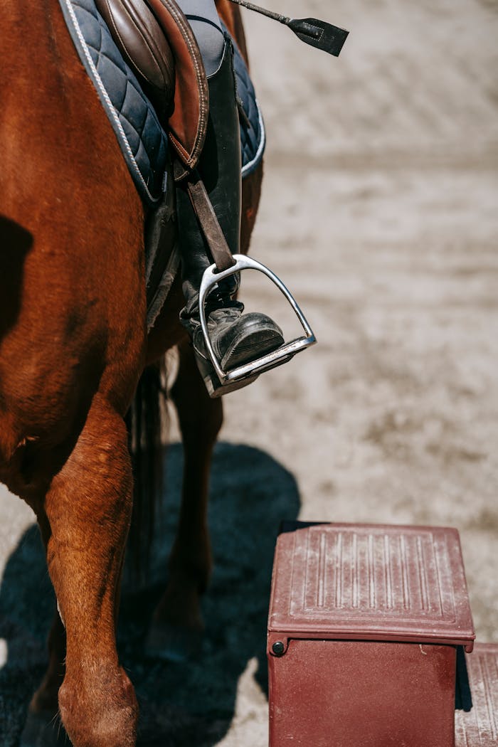 Pexels Photo 7882393